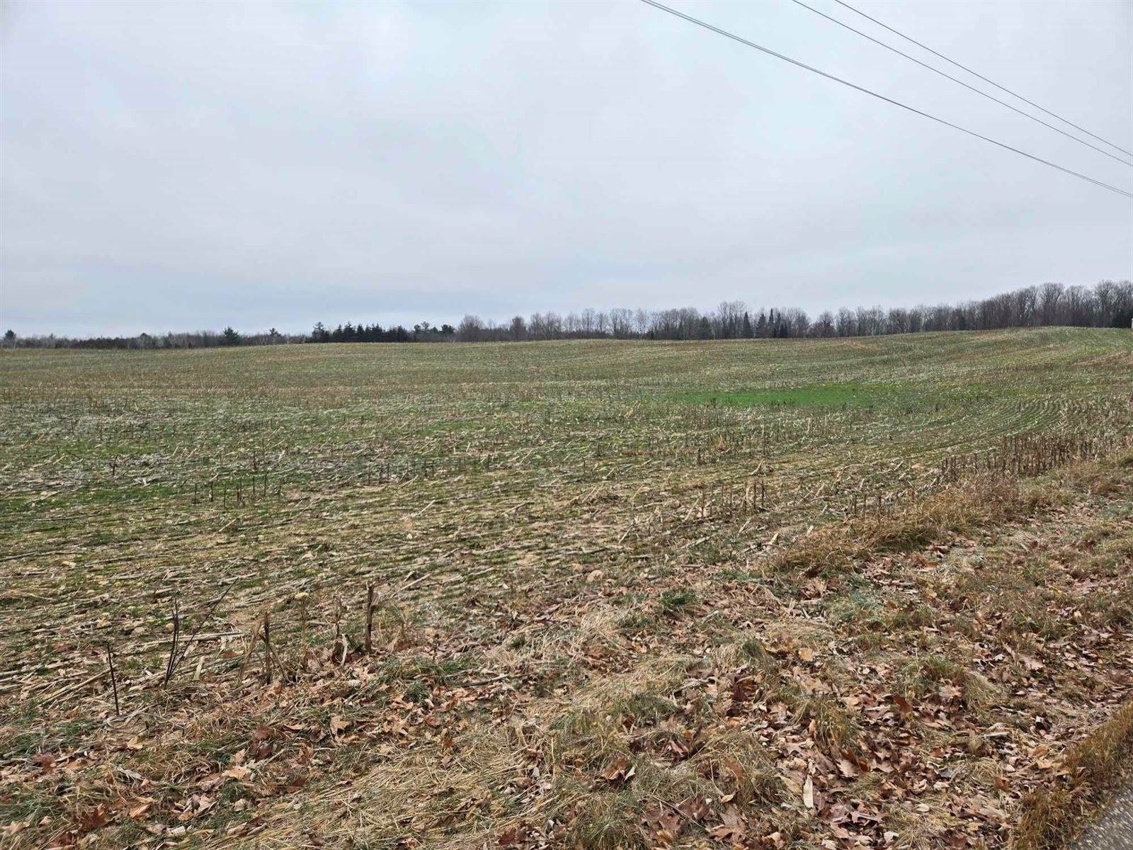 28.73 Acres BLACK WILLOW DRIVE, Eland, WI 54427