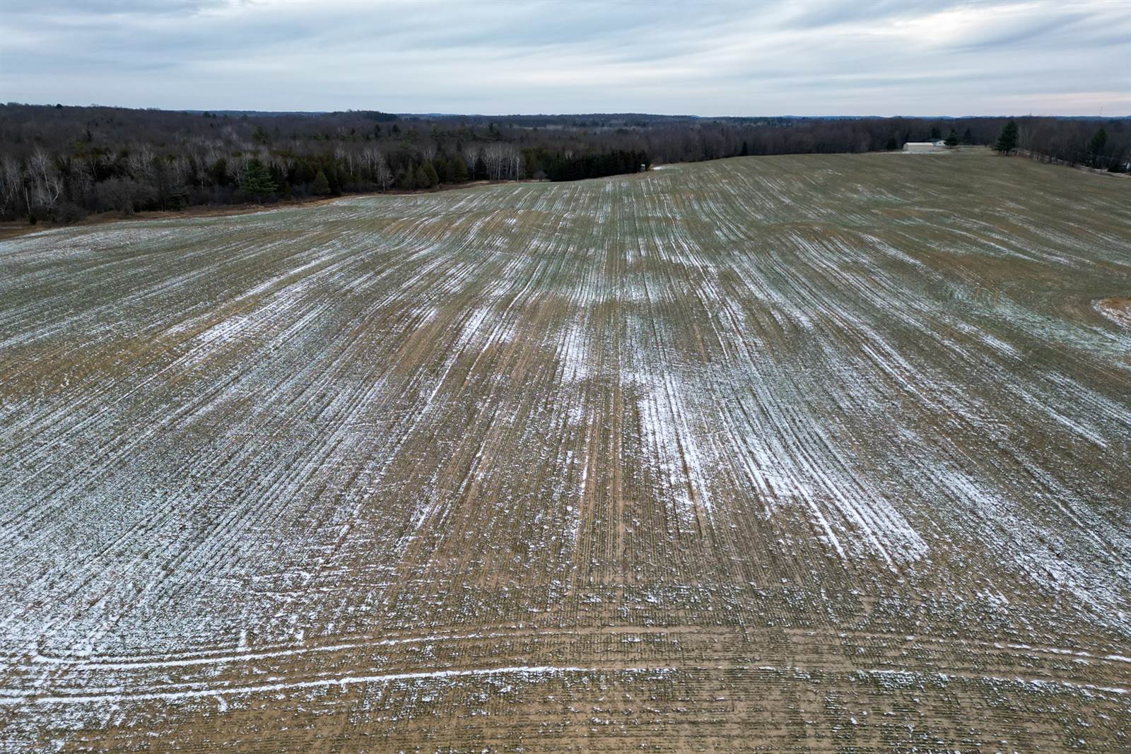 28.73 Acres BLACK WILLOW DRIVE, Eland, WI 54427