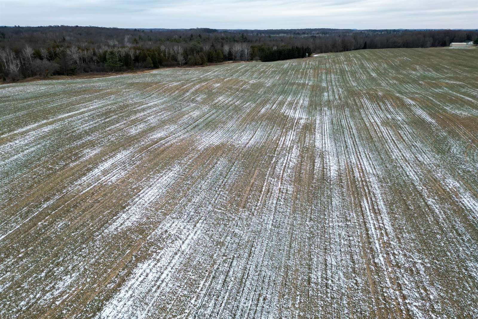 28.73 Acres BLACK WILLOW DRIVE, Eland, WI 54427