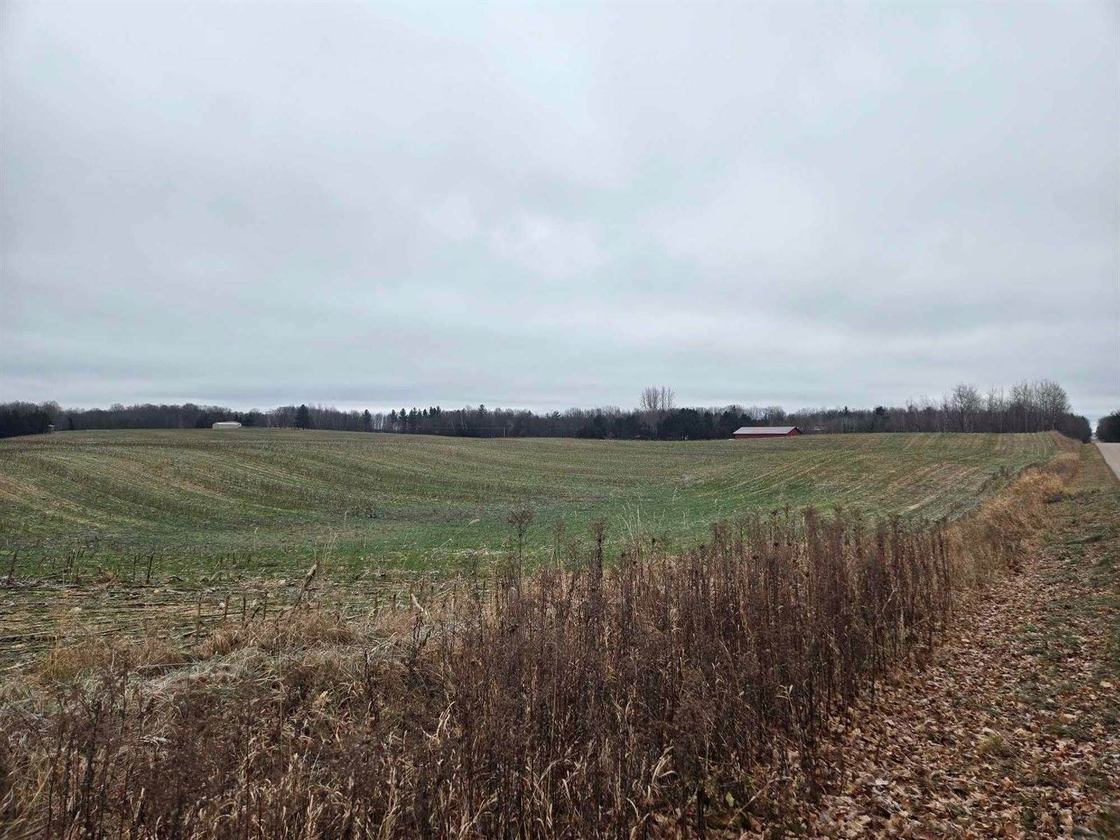 28.73 Acres BLACK WILLOW DRIVE, Eland, WI 54427