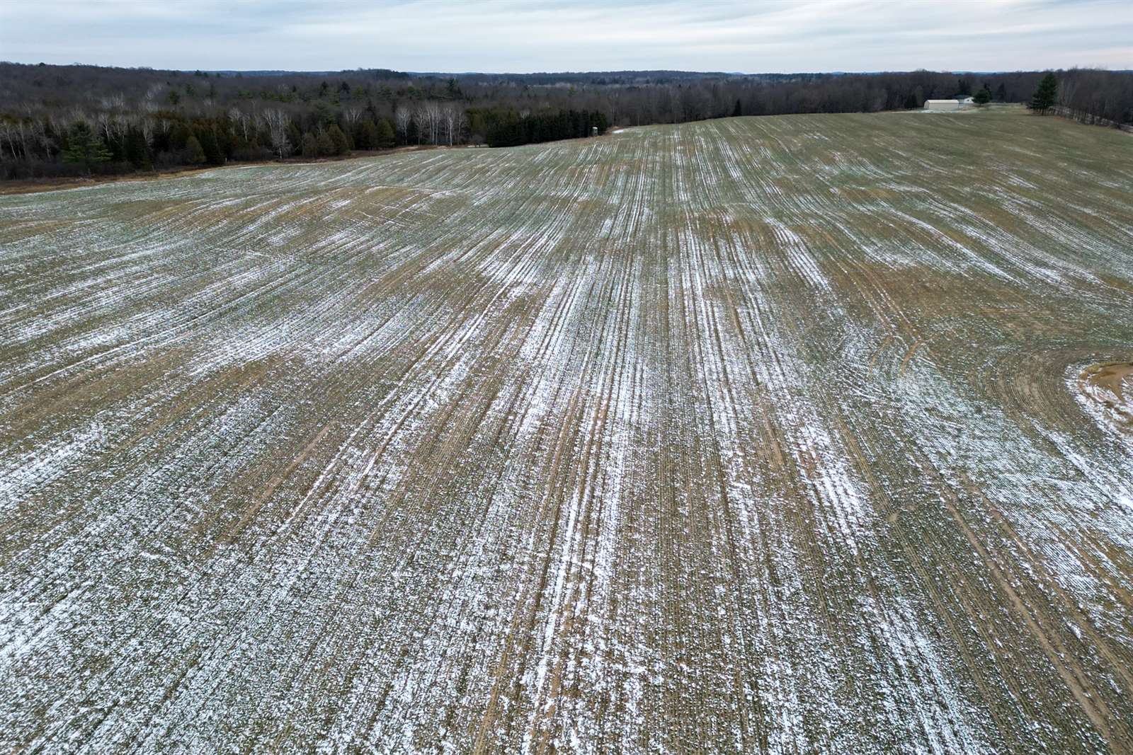 28.73 Acres BLACK WILLOW DRIVE, Eland, WI 54427