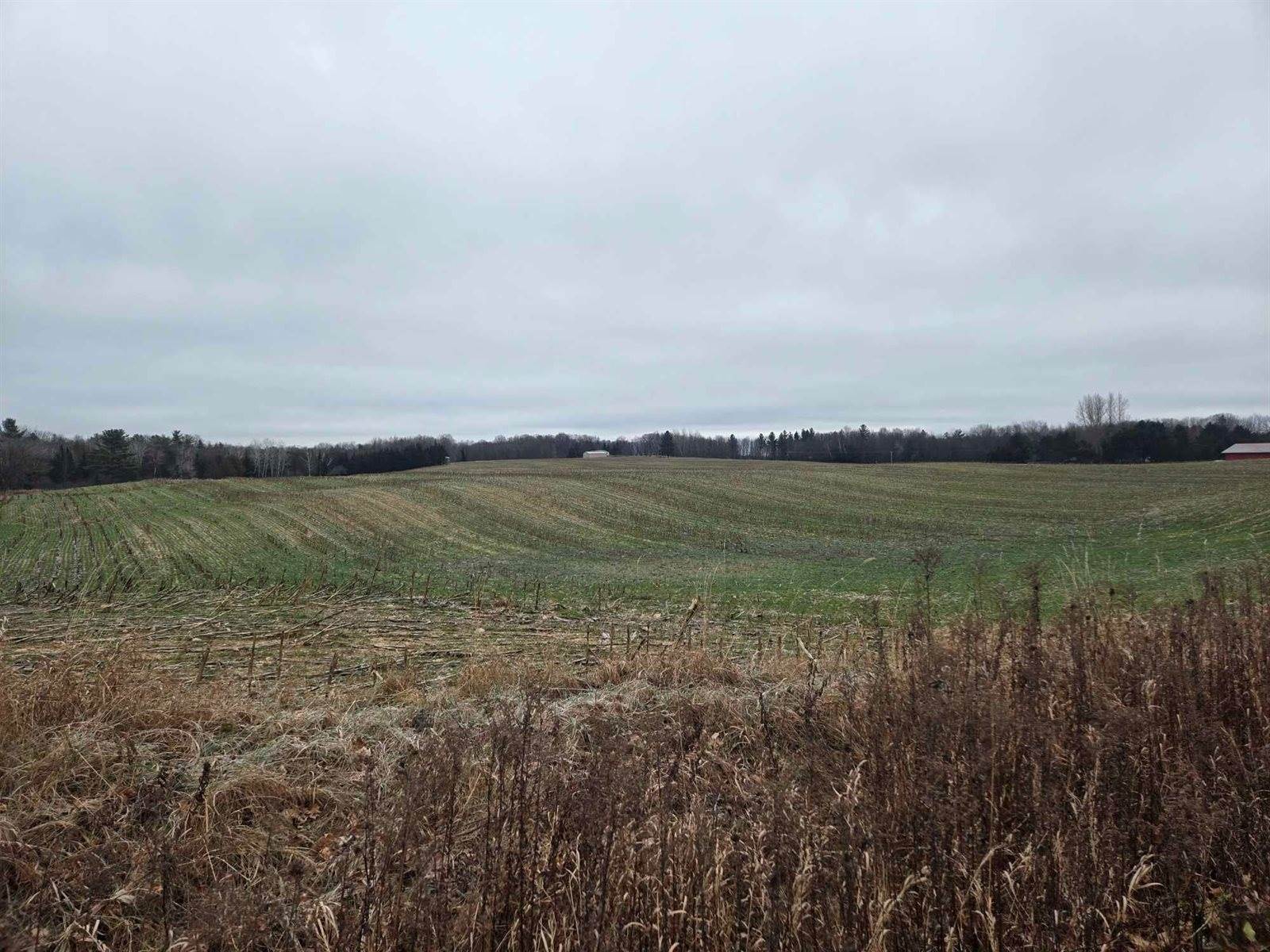 28.73 Acres BLACK WILLOW DRIVE, Eland, WI 54427