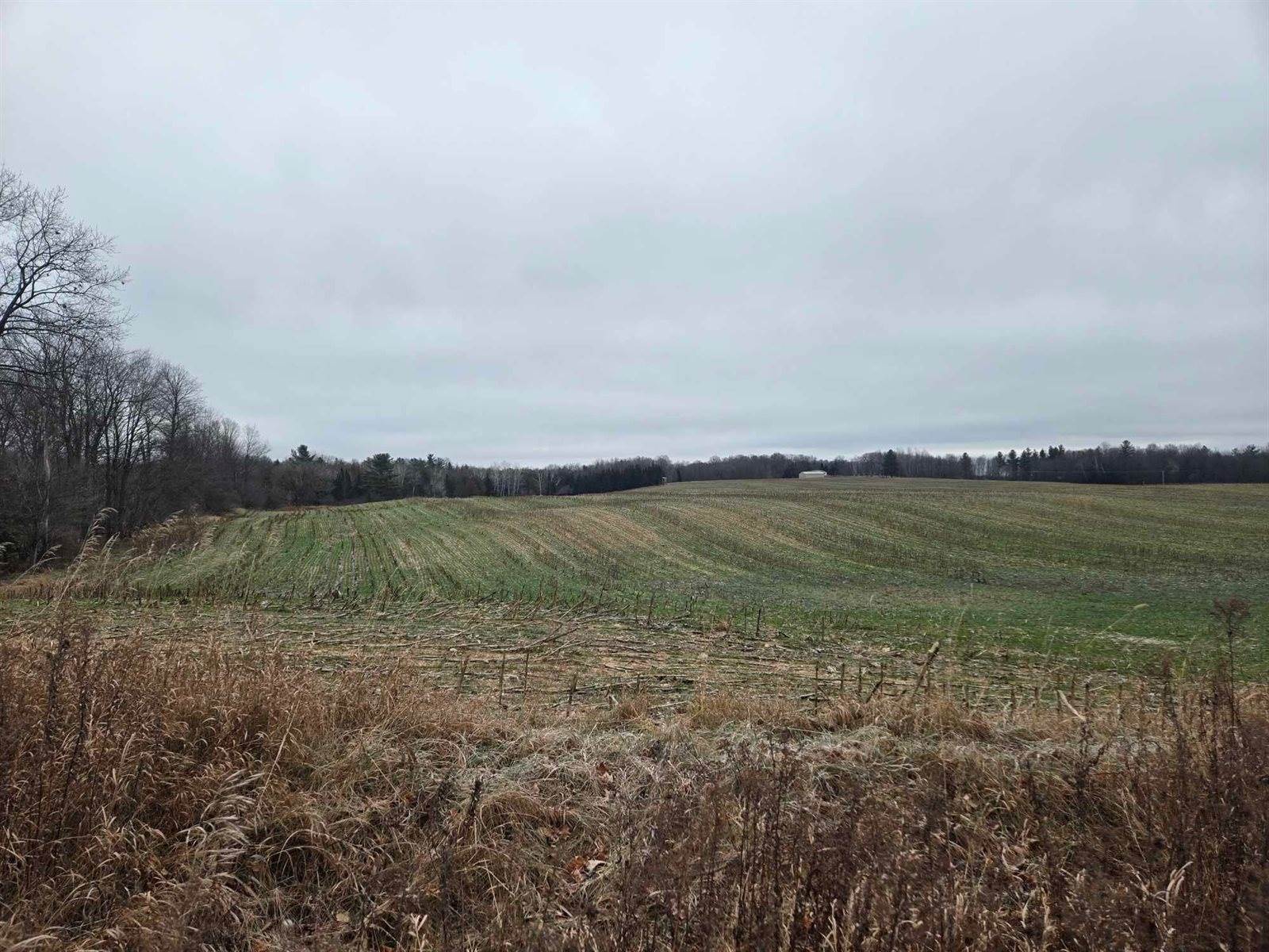 28.73 Acres BLACK WILLOW DRIVE, Eland, WI 54427