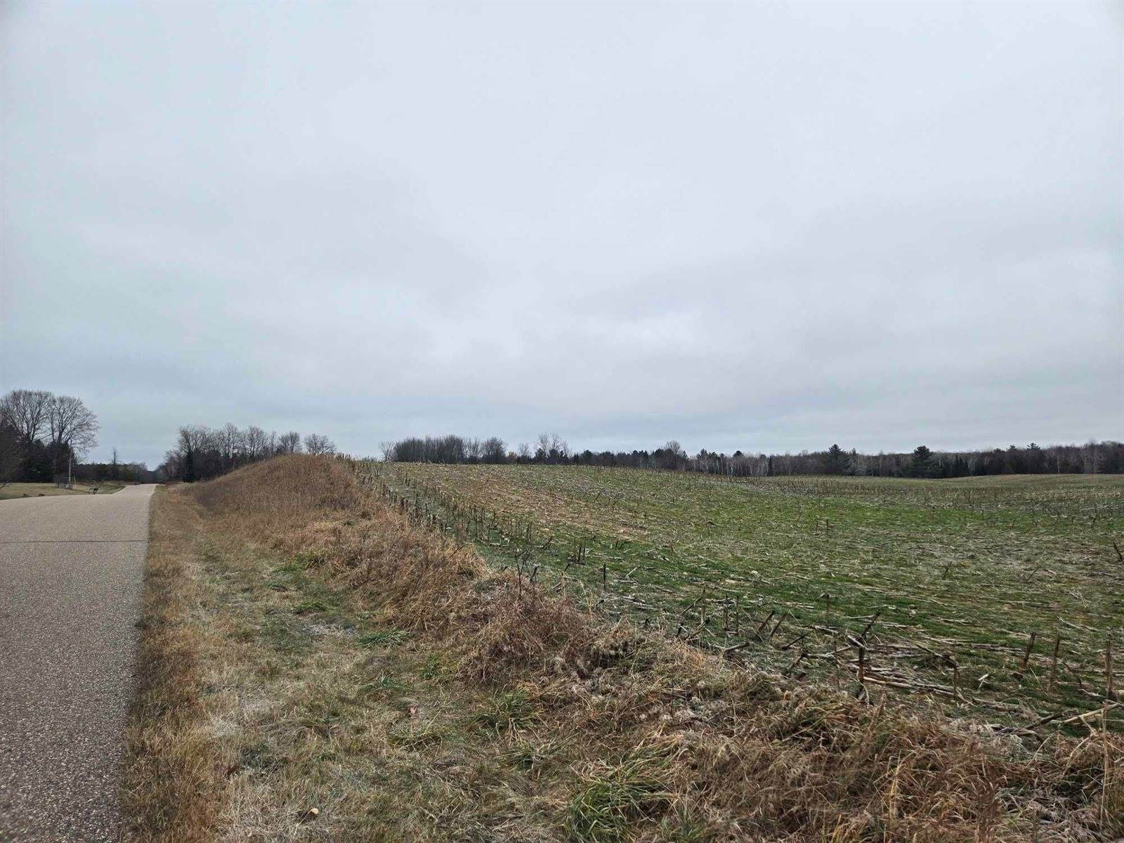 28.73 Acres BLACK WILLOW DRIVE, Eland, WI 54427