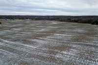 28.73 Acres BLACK WILLOW DRIVE, Eland, WI 54427
