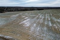 28.73 Acres BLACK WILLOW DRIVE, Eland, WI 54427