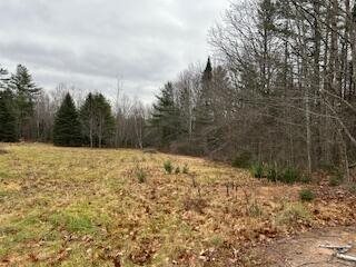 20 Monument Road, Abbot, ME 04406