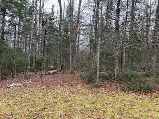 20 Monument Road, Abbot, ME 04406