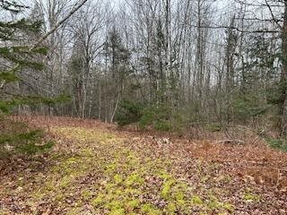 20 Monument Road, Abbot, ME 04406