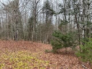 20 Monument Road, Abbot, ME 04406