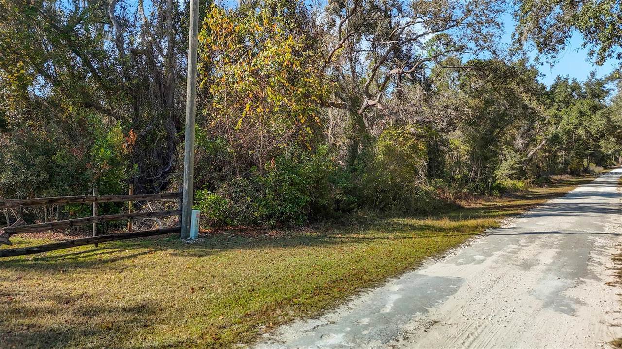 7241 Sonia Avenue, Webster, FL 33597