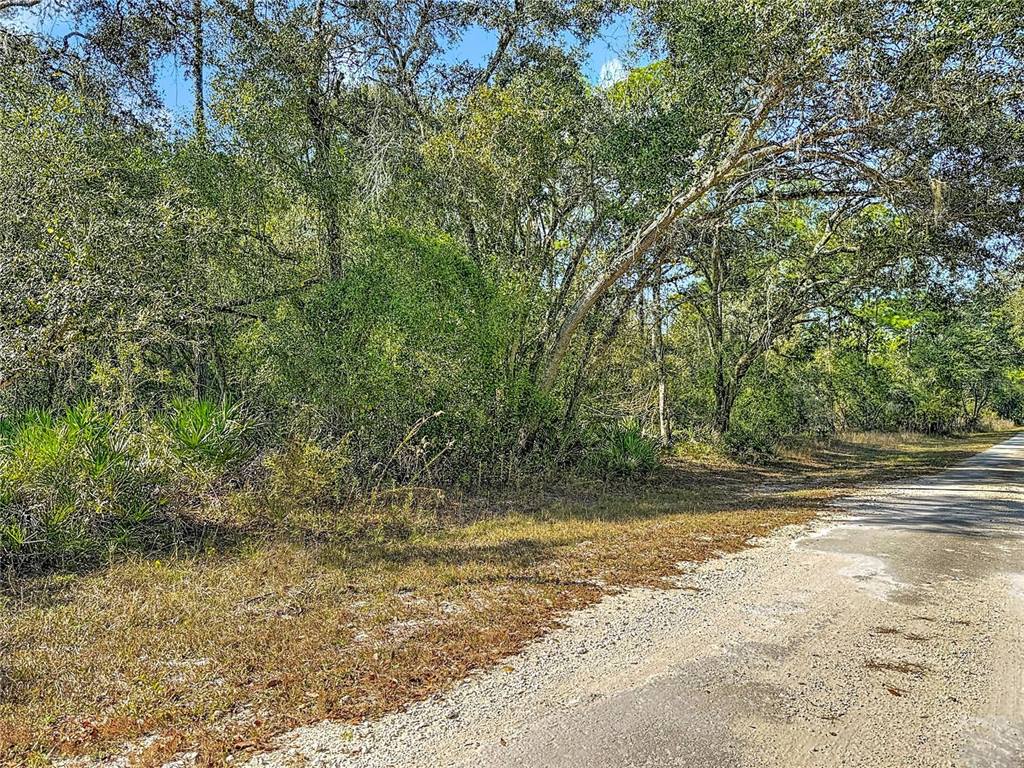 7241 Sonia Avenue, Webster, FL 33597