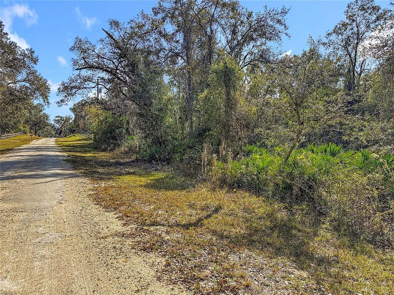 7241 Sonia Avenue, Webster, FL 33597