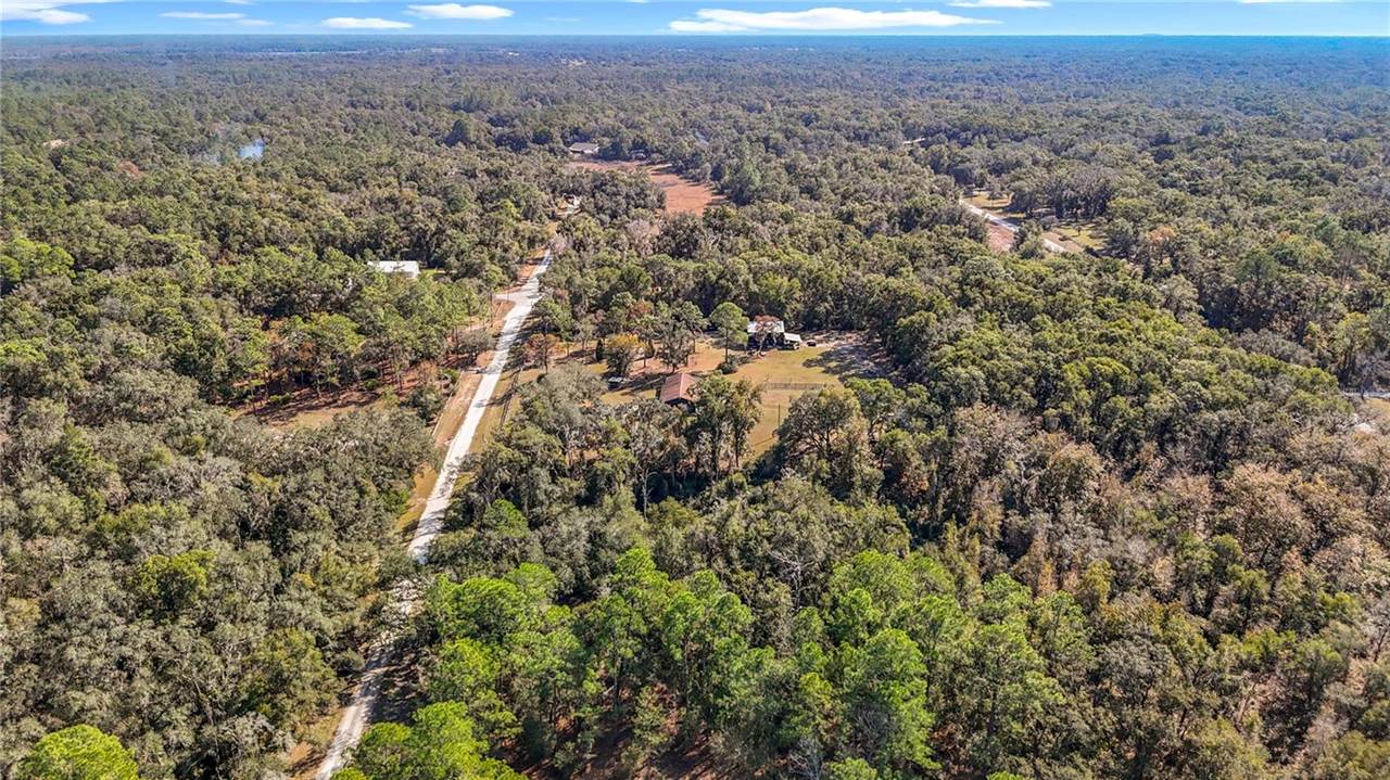 7241 Sonia Avenue, Webster, FL 33597