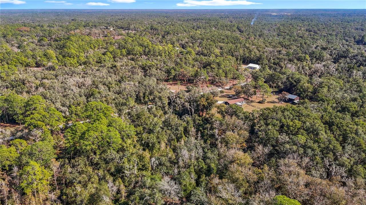 7241 Sonia Avenue, Webster, FL 33597