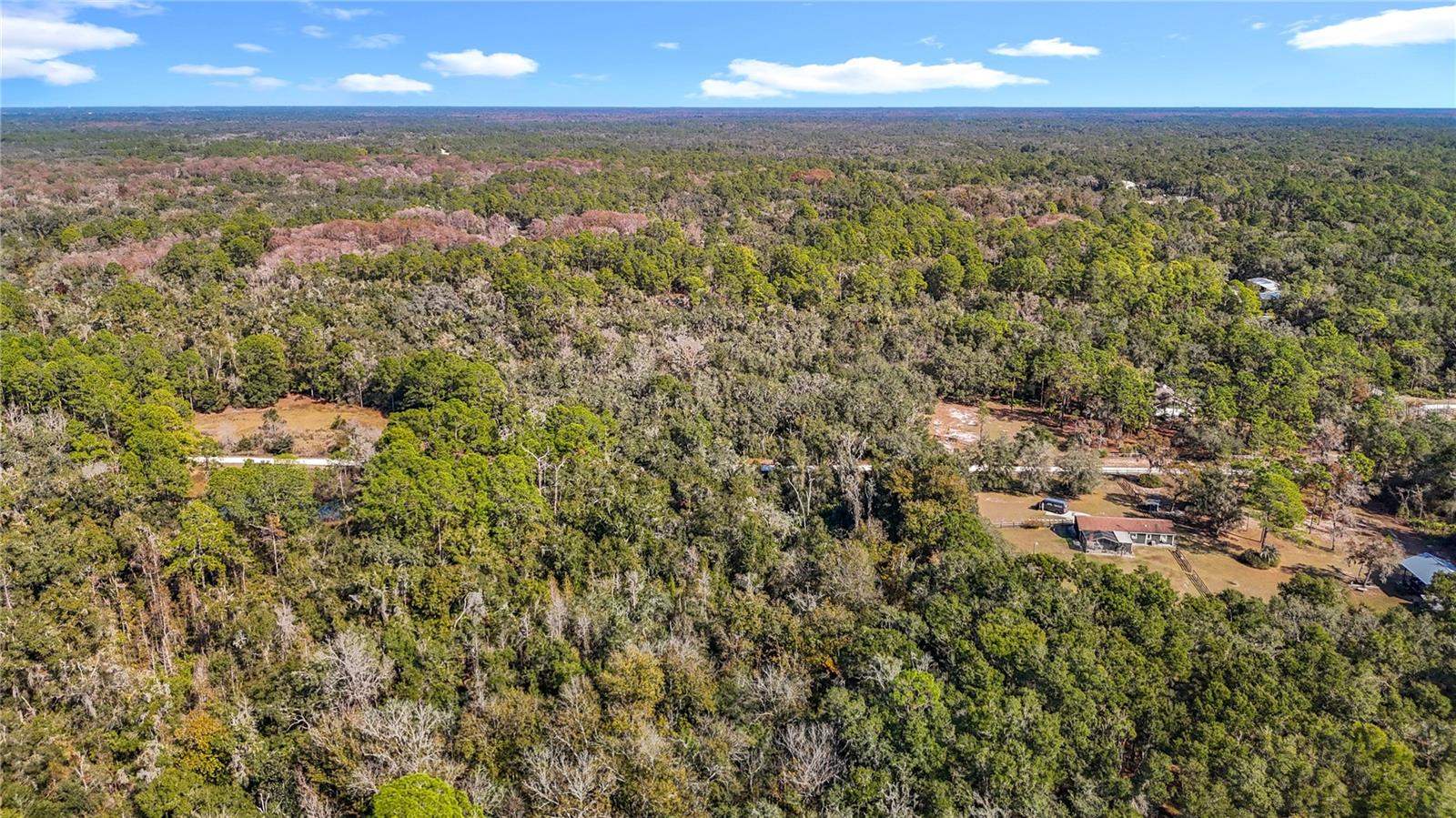 7241 Sonia Avenue, Webster, FL 33597
