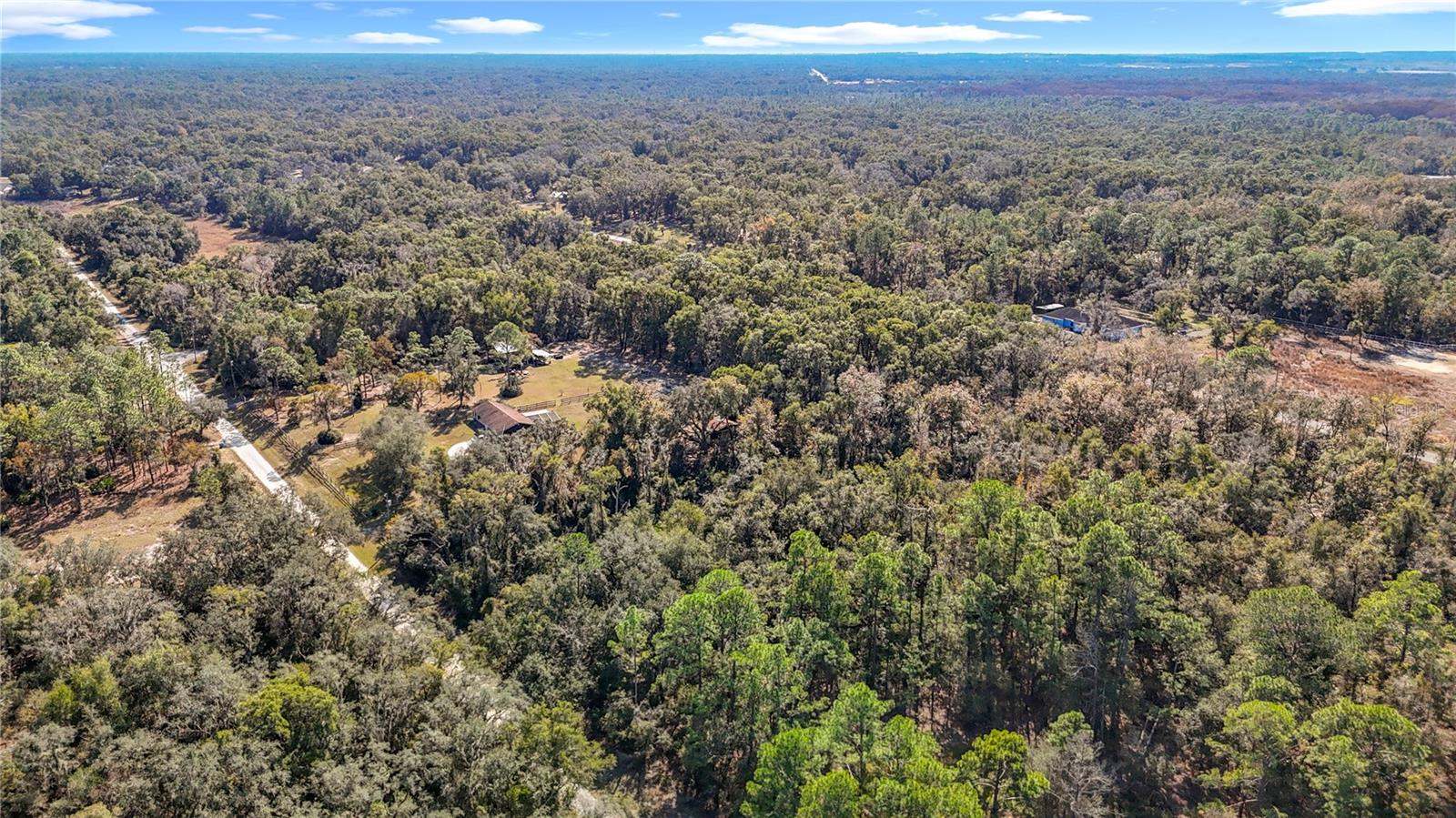 7241 Sonia Avenue, Webster, FL 33597