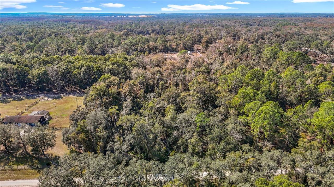 7241 Sonia Avenue, Webster, FL 33597