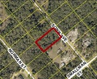 7241 Sonia Avenue, Webster, FL 33597