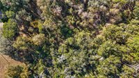 7241 Sonia Avenue, Webster, FL 33597