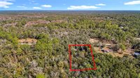 7241 Sonia Avenue, Webster, FL 33597