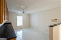 441 Superior Avenue, Winchester, VA 22601