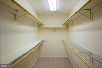 441 Superior Avenue, Winchester, VA 22601