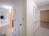 441 Superior Avenue, Winchester, VA 22601