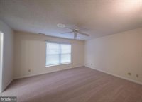 441 Superior Avenue, Winchester, VA 22601