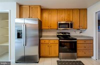 441 Superior Avenue, Winchester, VA 22601