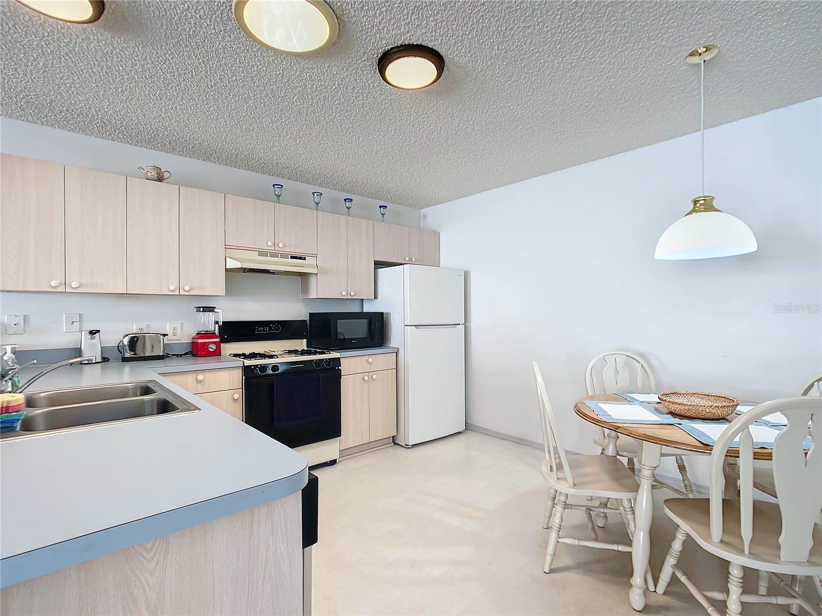 17439 SE 93rd Vine Avenue, The Villages, FL 32162