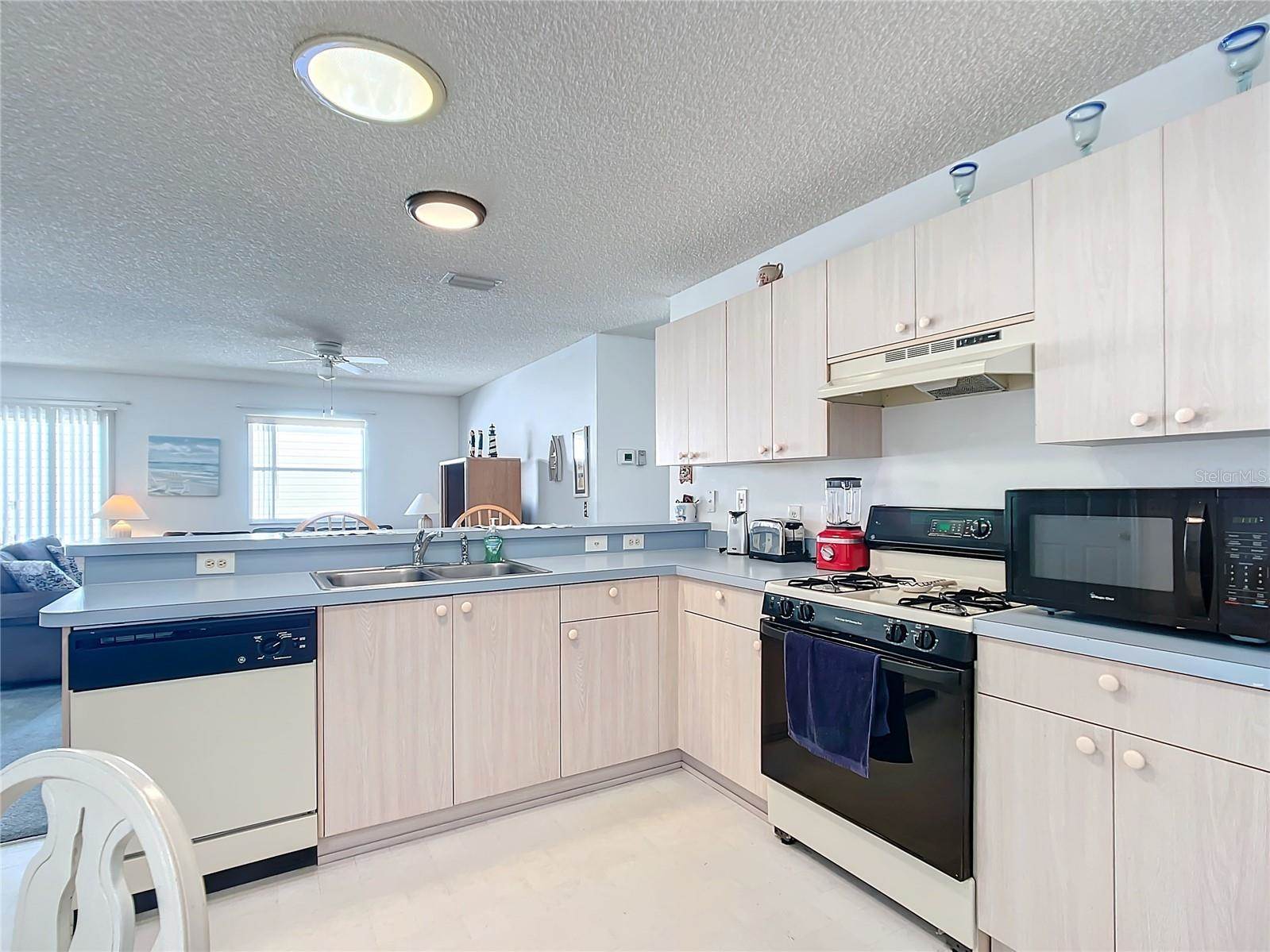 17439 SE 93rd Vine Avenue, The Villages, FL 32162