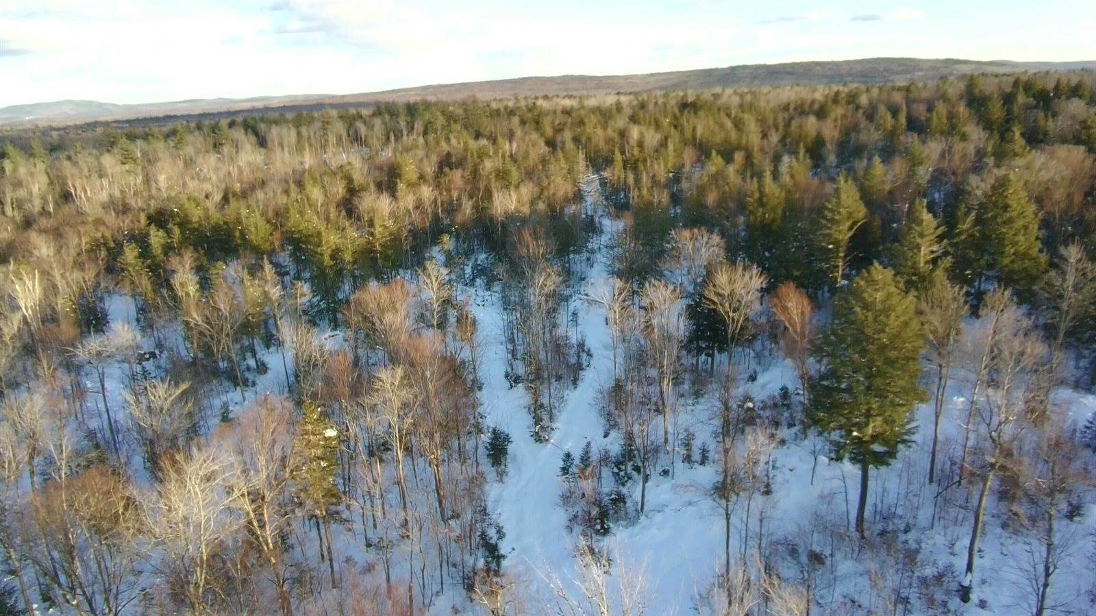 Map7 Lot7 South Shore Road, Kingsbury Plt, ME 04406