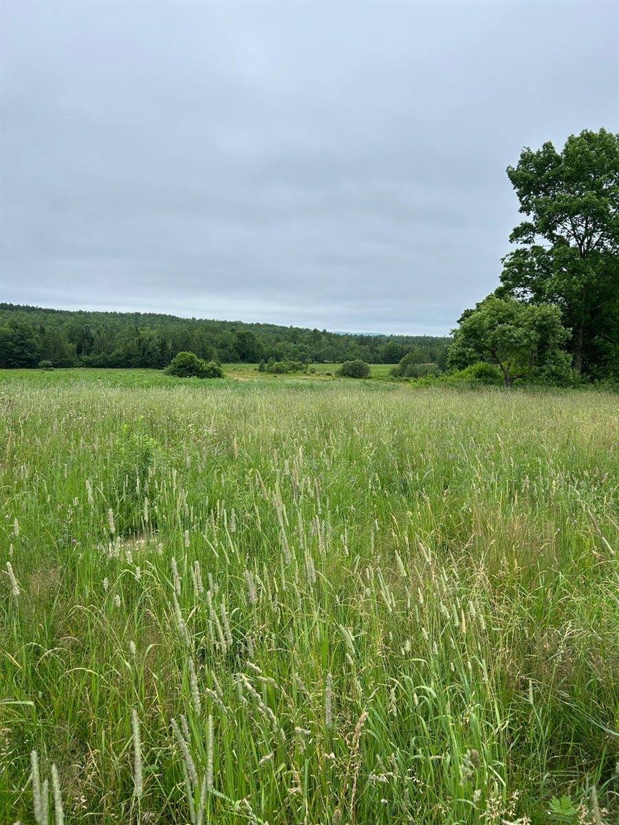 252 Blaine Avenue, Guilford, ME 04443