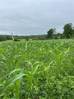 252 Blaine Avenue, Guilford, ME 04443