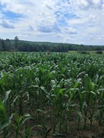 252 Blaine Avenue, Guilford, ME 04443