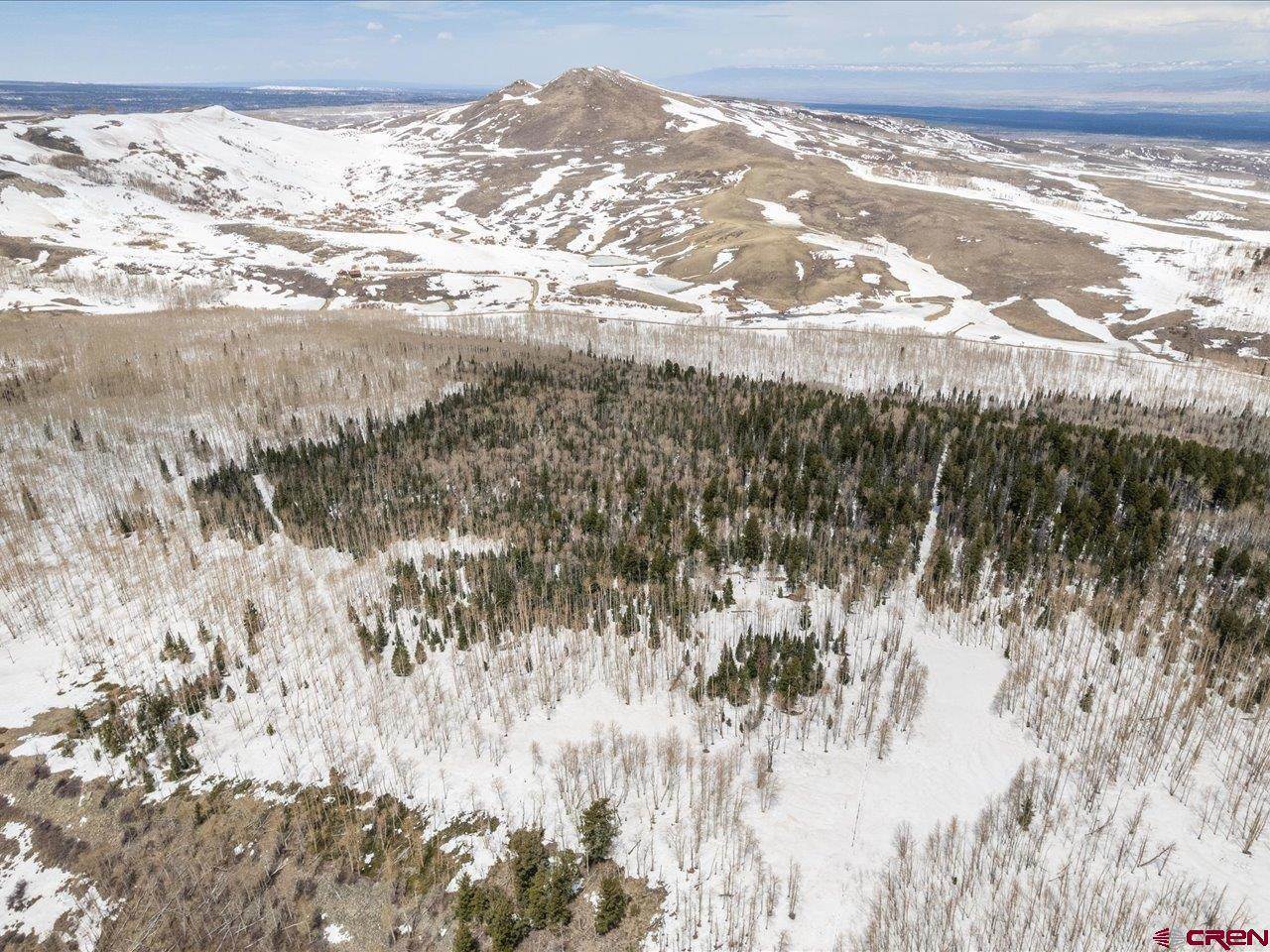 TBD Spruce Mountain Trail, Ridgway, CO 81432