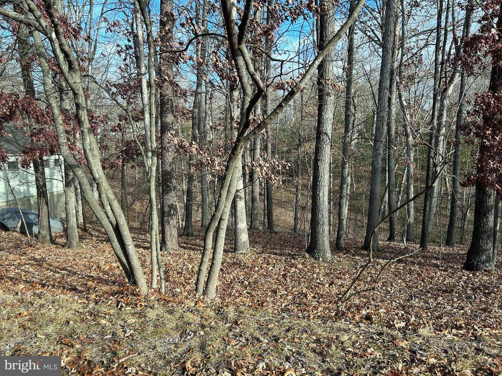 Lot 183 Northwood Circle, Cross Junction, VA 22625