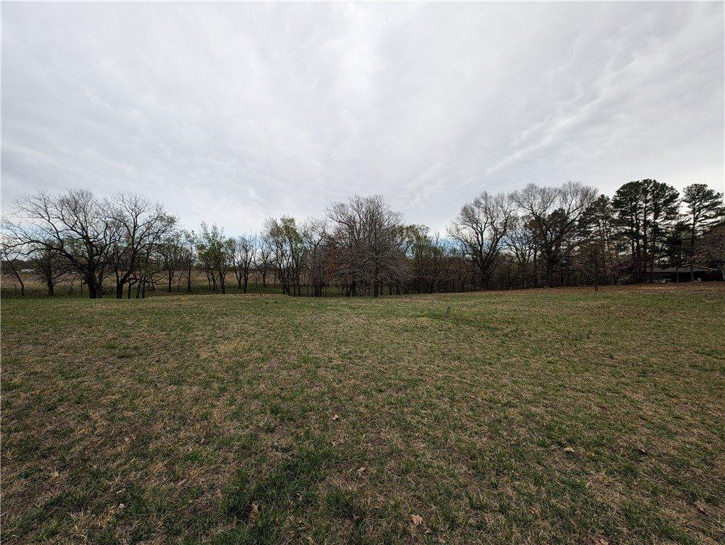 Lot 11 TBD North Mt Olive Road, Gravette, AR 72736