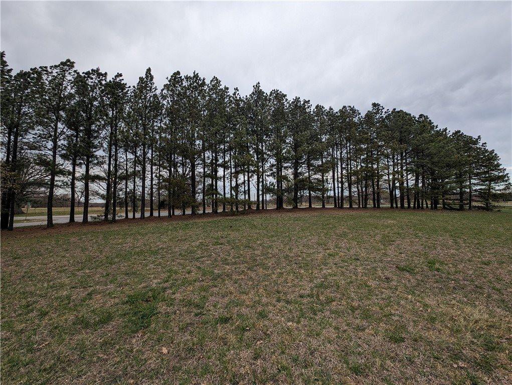 Lot 11 TBD North Mt Olive Road, Gravette, AR 72736