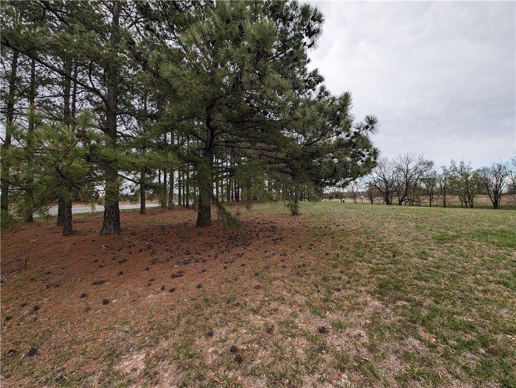 Lot 11 TBD North Mt Olive Road, Gravette, AR 72736