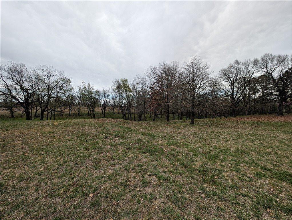 Lot 11 TBD North Mt Olive Road, Gravette, AR 72736