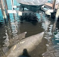 9612 Valencia Cove, Bradenton, FL 34210