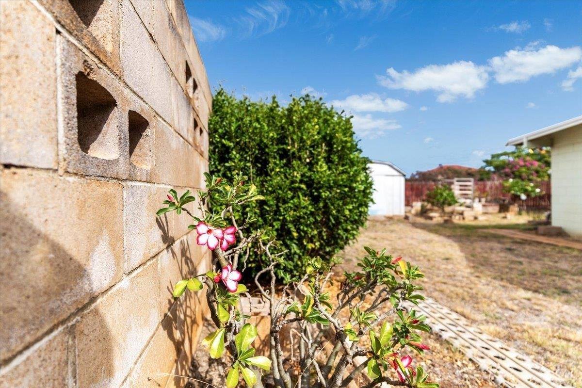 1890 Makahala Pl, Wailuku, HI 96793