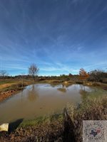 TBD 10 acres MC 26, Fouke, AR 71837