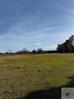 TBD 10 acres MC 26, Fouke, AR 71837