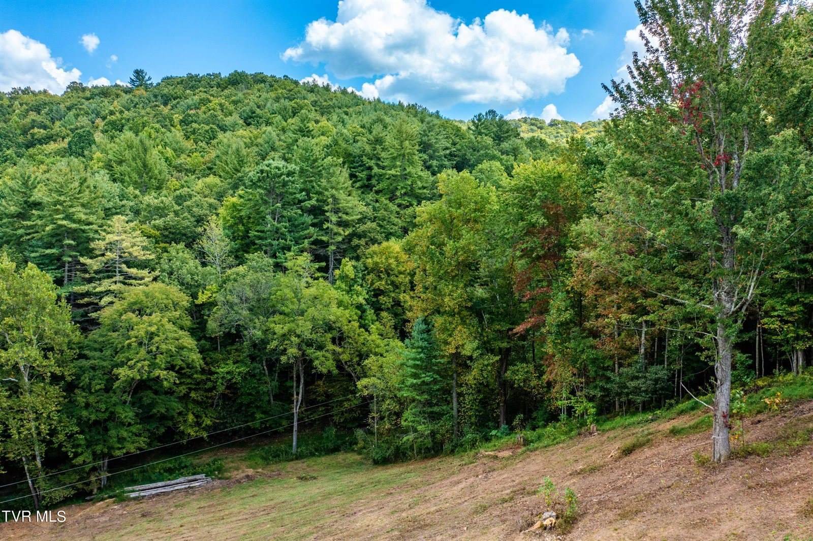 Tbd Oaks Road, Unicoi, TN 37692