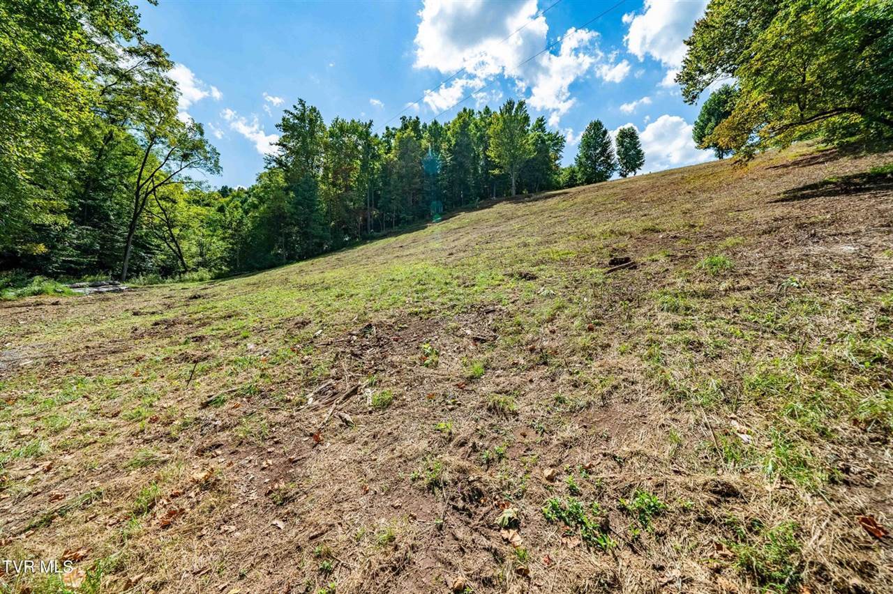 Tbd Oaks Road, Unicoi, TN 37692