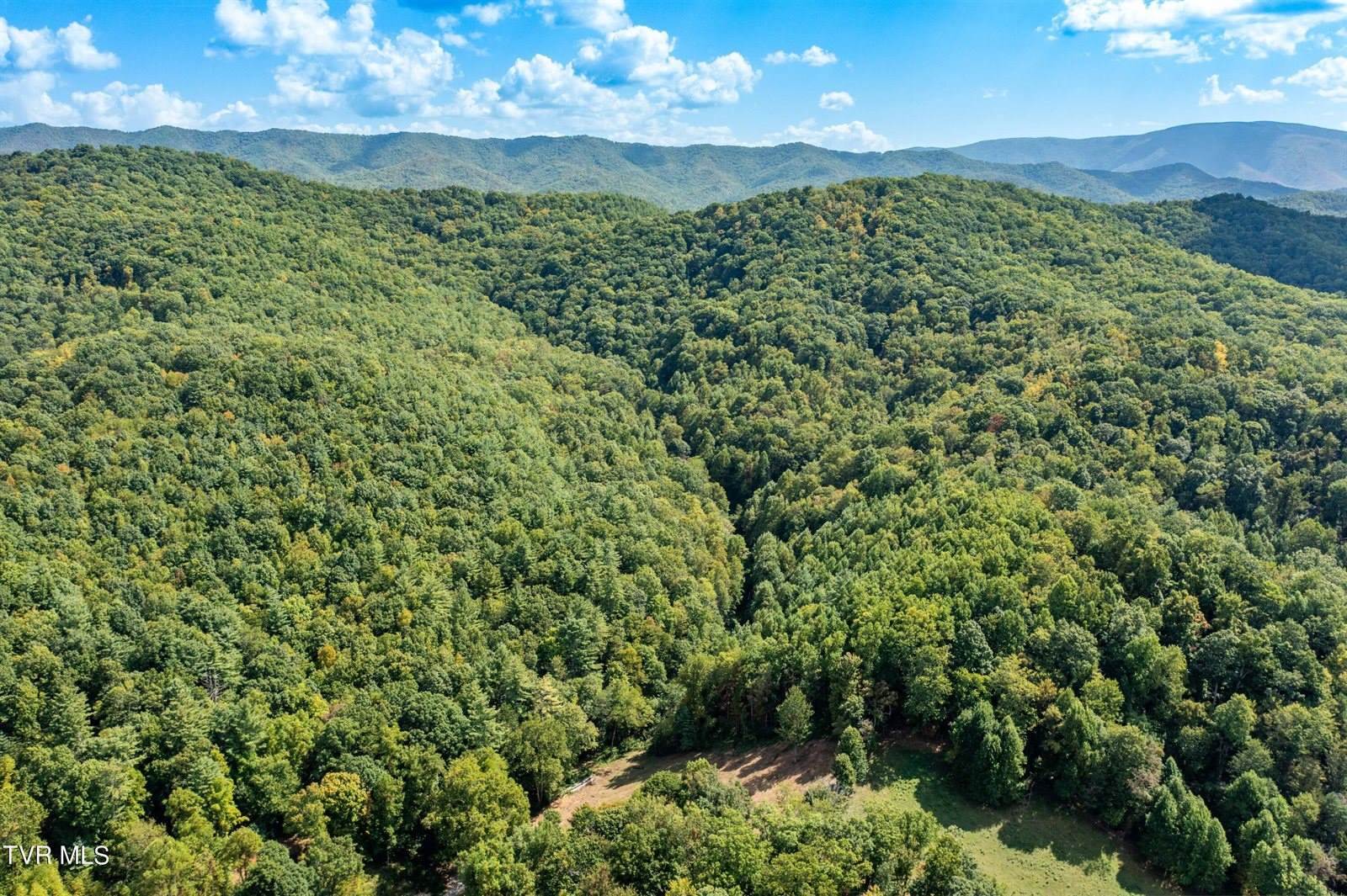 Tbd Oaks Road, Unicoi, TN 37692