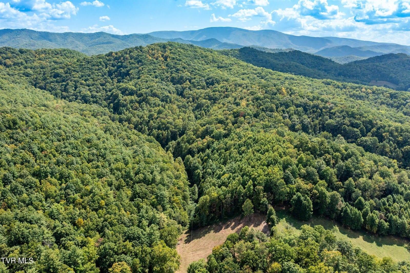 Tbd Oaks Road, Unicoi, TN 37692